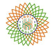 GI-certified pure Pashmina shawls, handwoven from authentic Kashmiri Pashmina wool for women who value tradition and luxury.