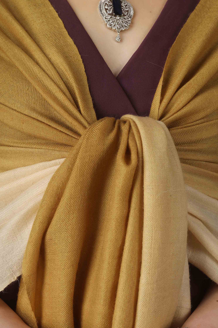 pashmina online, this golden ombre stole brings Kashmiri craftsmanship to elegant wardrobes in France and beyond. Add it to your collection when you want the very best pashmina online
    
      | pashmina shawls online | authentic Kashmiri pashmina shawl online | pure pashmina shawl online | original GI certified pashmina shawl online | luxury men's pashmina shawl online from Kashmir | where to buy online pure pashmina in India
    
    | GI Tag Certified - Government-verified authentic Kashmiri Pashmina
    | G20 Official Partner - Selected by India for G20 Summit gifting
    | Handicraft Registered - Official recognition of traditional craftsmanship
    | Certificate of Authenticity - Every purchase includes GI certification