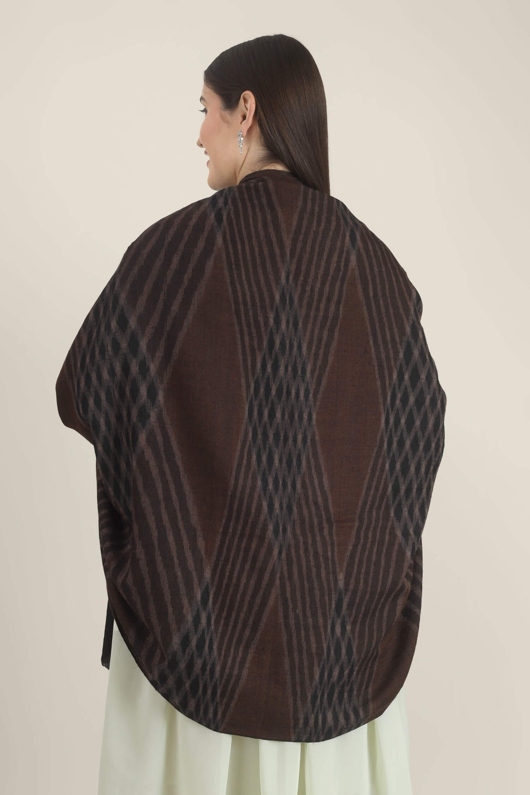 Model draped in a brown and black Pure Kashmiri Pashmina shawl with a woven wave pattern and wide plain black border over a pale green embroidered dress.