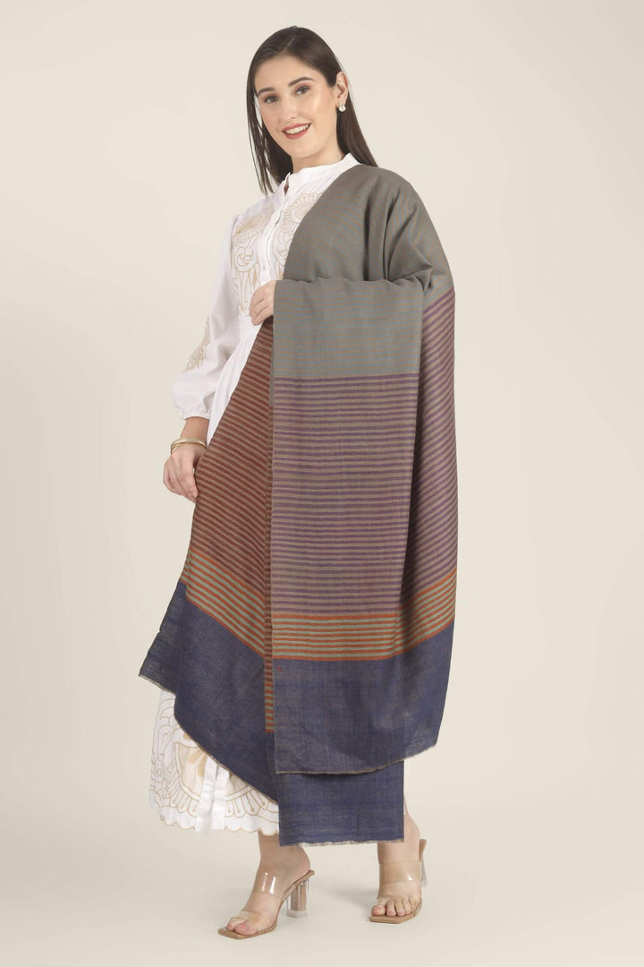 Model draped in a multicolour Pure Kashmiri Pashmina shawl with woven grey-green, plum, brown and rust stripes and a wide plain navy border over a white embroidered dress.
    
      | pashmina shawls online | authentic Kashmiri pashmina shawl online | pure pashmina shawl online | original GI certified pashmina shawl online | luxury men's pashmina shawl online from Kashmir | where to buy online pure pashmina in India
    
    | GI Tag Certified - Government-verified authentic Kashmiri Pashmina
    | G20 Official Partner - Selected by India for G20 Summit gifting
    | Handicraft Registered - Official recognition of traditional craftsmanship
    | Certificate of Authenticity - Every purchase includes GI certification