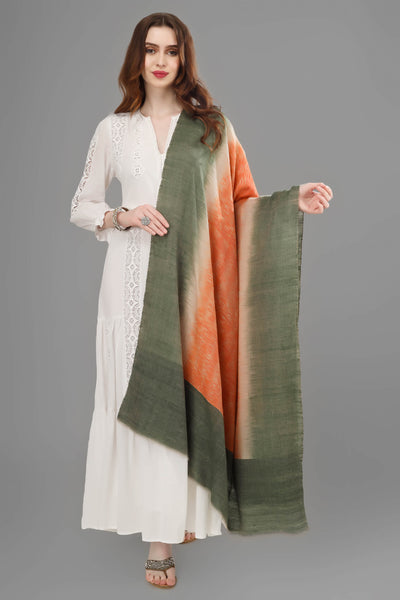 Ikkat  Fiza pashmina shawl