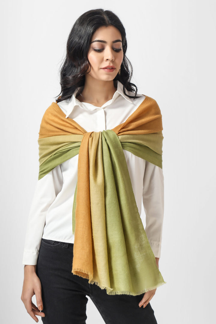 Olive green and light orange Ombre Pashmina  Stoles