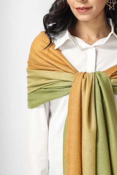 Olive green and light orange Ombre Pashmina  Stoles