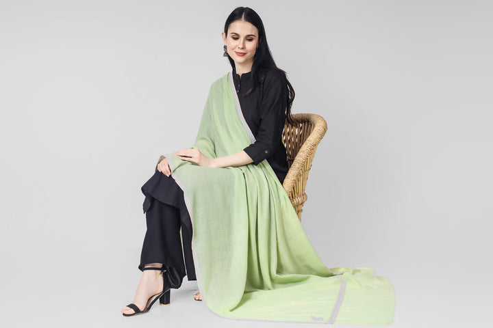 DELHI - Emerald Green Pashmina hashidaar sozni shawl