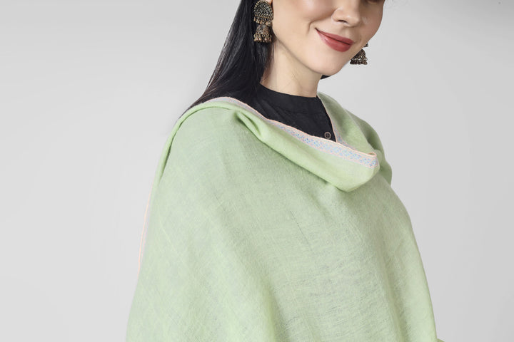 DELHI - Emerald Green Pashmina hashidaar sozni shawl