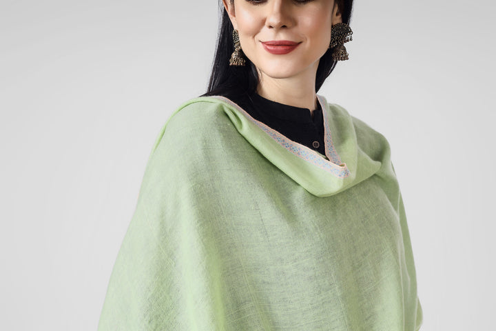 DELHI - Emerald Green Pashmina hashidaar sozni shawl