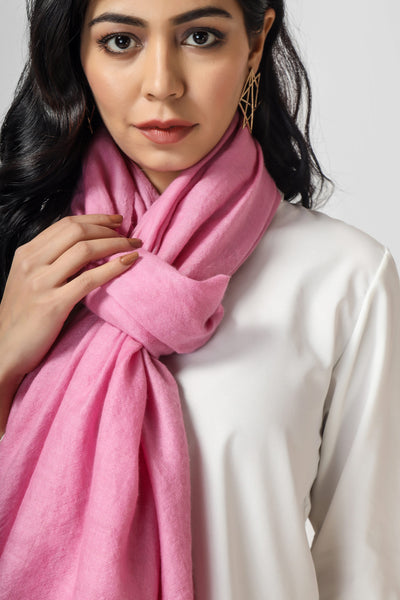 Solid Pashmina Stole