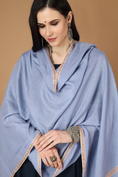 NMACC-MUMBAI -PASHMINA SHAWL PRICE- Pashmina shawl light gray with Brown hashidaar sozni shawl
