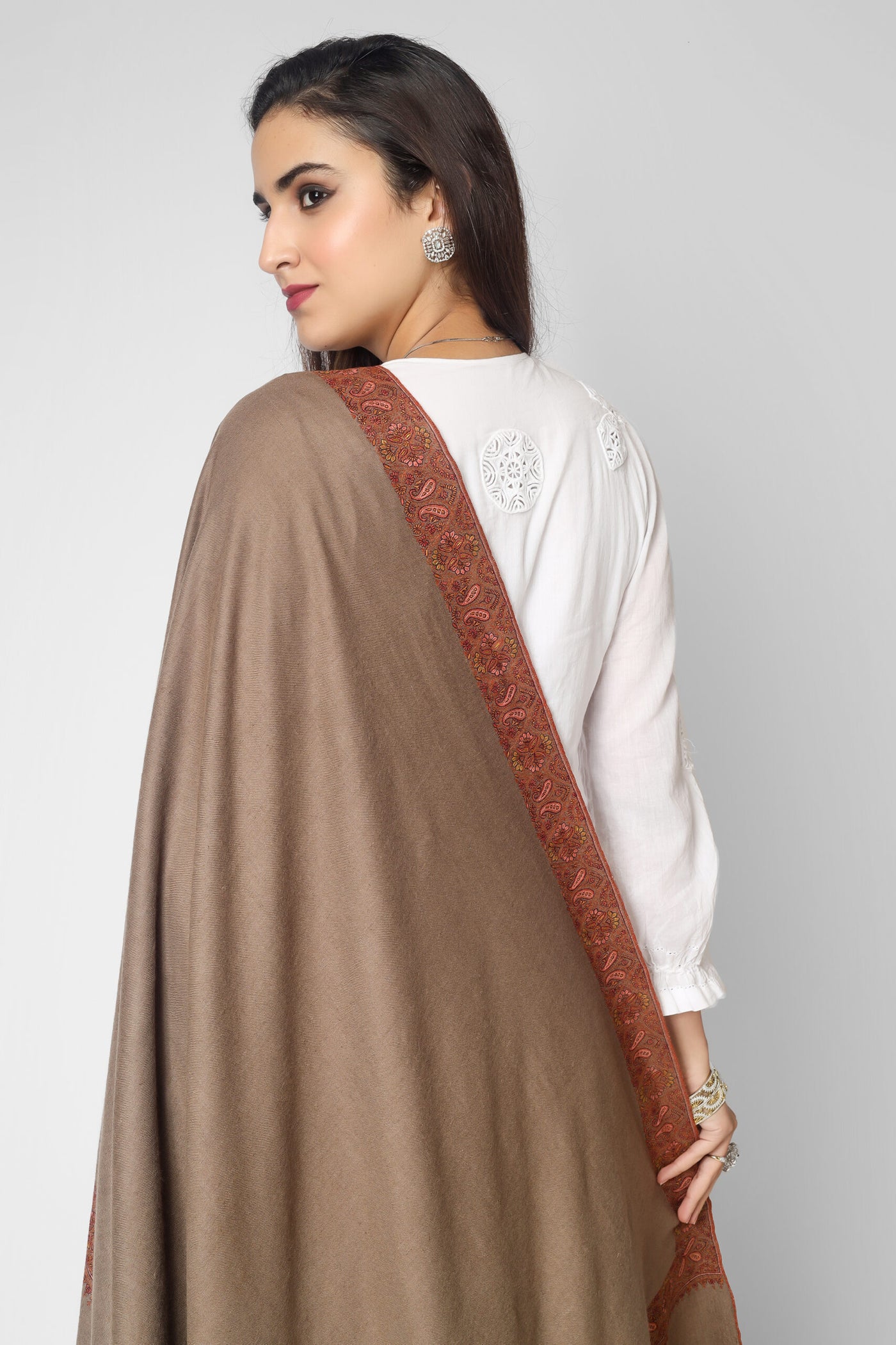 Toosh Color Pashmina Border Sozni Shawl